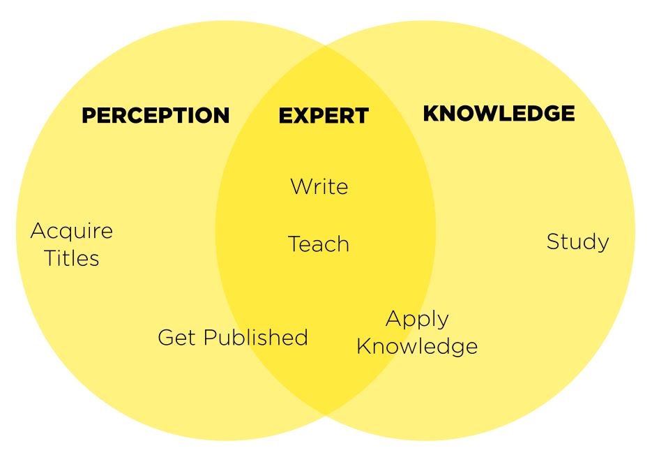 Venn Diagram showing expert at the intersection of perception and knowledge 